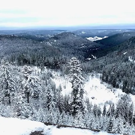 2 Zi Mit Schoener Aussicht Und Mit Balkon Bis Zu 5 Personen In Lossburg, Schwarzwald * Loßburg