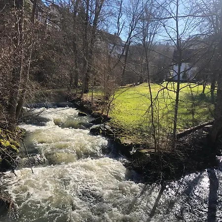 Apartamento 2 Zi Mit Schoener Aussicht Und Mit Balkon Bis Zu 5 Personen In Lossburg, Schwarzwald Loßburg